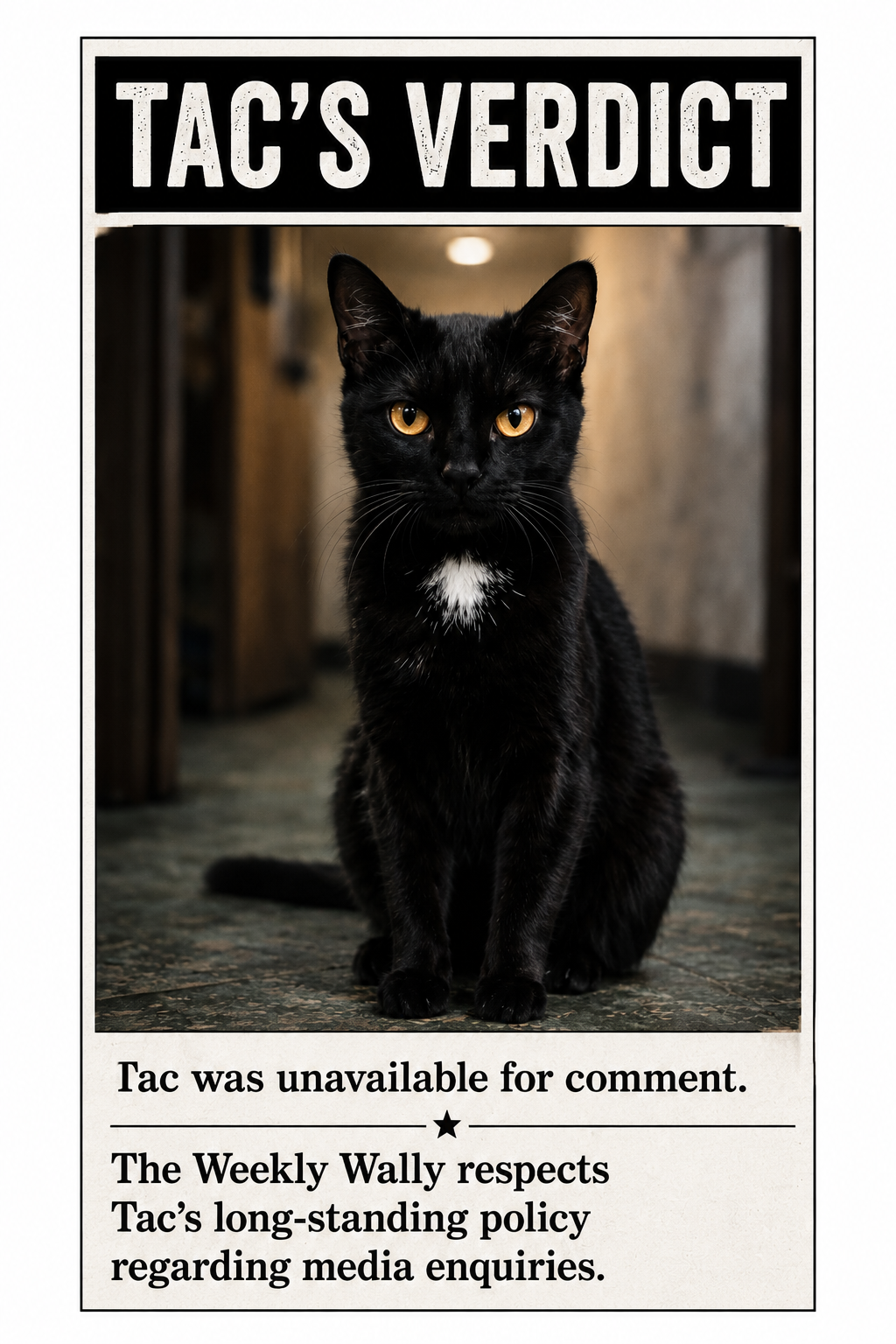 Tac, a black cat with amber eyes and a white chest patch, sits facing the camera beneath the heading “Tac’s Verdict”. Text below says he was unavailable for comment and that The Weekly Wally respects his long-standing policy regarding media enquiries.